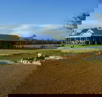Thomson Brook Wines - Accommodation Main Beach