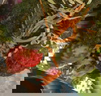 7 By The Lake - Accommodation Main Beach