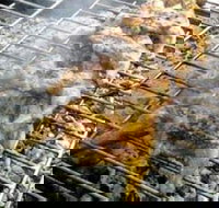 Brisbane Portuguese Family Centre - Accommodation Main Beach