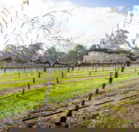 Long Point Vineyard and Art Gallery - Accommodation Main Beach