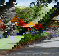 Oakdene Vineyards and Cellar Door - Accommodation Main Beach