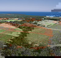 Wise Wine - Accommodation Main Beach