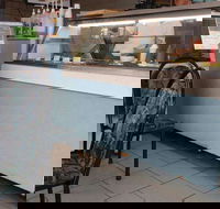 The Natural Cafe - Accommodation Main Beach