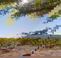 Hayes Family Wines - Accommodation Main Beach