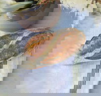 Pandesal Bakery - Accommodation Main Beach