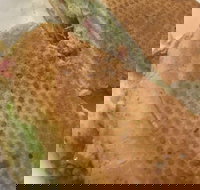 Sweet Blends Cafe - Accommodation Main Beach