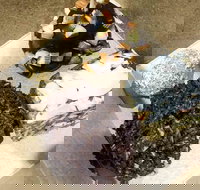 The Wolf and I - Accommodation Main Beach