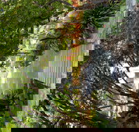 Velvet  Willow - Accommodation Main Beach