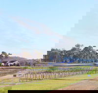Blacklea Vineyard and Olive Grove - Accommodation Main Beach