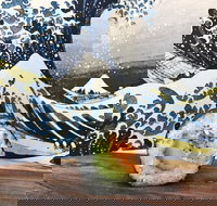 Bamboo Exmouth - Accommodation Main Beach