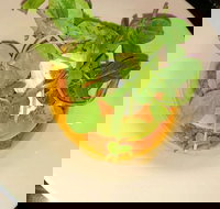 Harvey's Bar - Accommodation Main Beach