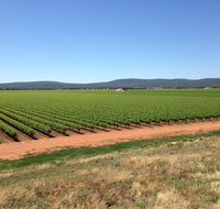 Melange Wines - Accommodation Main Beach