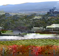 Milton Vineyard - Accommodation Main Beach