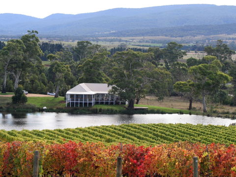 Milton Vineyard - Accommodation Main Beach 0