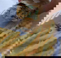 Shee Tayeb - Accommodation Main Beach