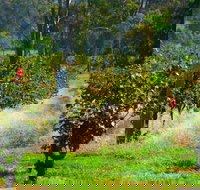 The Red Apron Gourmet Kitchen - Accommodation Main Beach