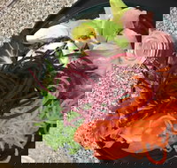 Cafe Rhubaba - Accommodation Main Beach