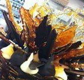 Daily Dose Cafe Wine Bar - Accommodation Main Beach