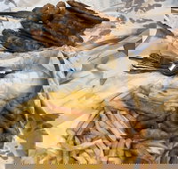 Miami Fish and Chip Shack - Accommodation Main Beach