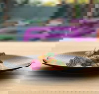 Bellottis Italian Dining - Cascades Motor Inn - Accommodation Main Beach