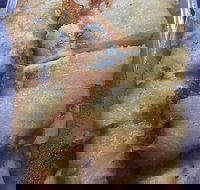 New Dragon - Accommodation Main Beach