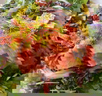 Thurlby Herb Farm Cafe - Accommodation Main Beach