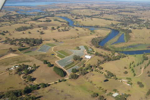 Nicholson River Winery And Barrel Room Restaurant - Accommodation Main Beach 0