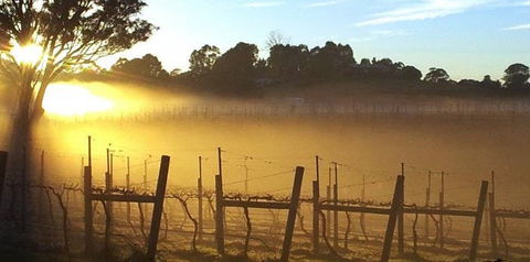 Nicholson River Winery And Barrel Room Restaurant - Accommodation Main Beach 1