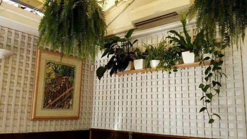 Plane Tree Cafe - Accommodation Main Beach 0
