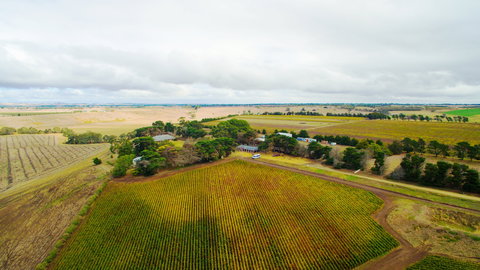 Pettavel Wines - Accommodation Main Beach 0