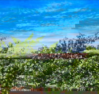 Rowsley Fault Vineyards - Accommodation Main Beach