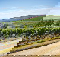 Jansz Tasmania - Accommodation Main Beach