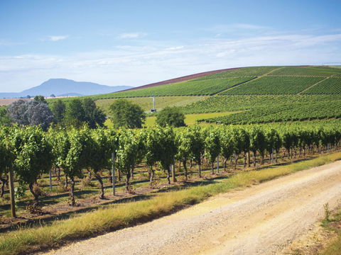 Jansz Tasmania - Accommodation Main Beach 0