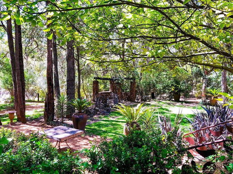 Naked Apple Cider - Accommodation Main Beach 0