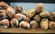 Brasserie Bread - Mascot - thumb 0