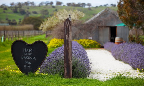 Hart Of The Barossa - Accommodation Main Beach 0