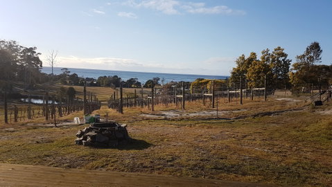 Overtime Vineyard - Accommodation Main Beach 0