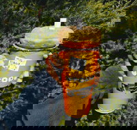 Utopia - Booragoon - Accommodation Main Beach