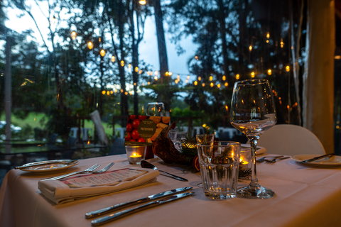 Rainforest Restaurant And Lounge Bar - Accommodation Main Beach 1