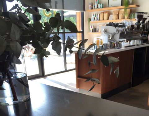 Sixpence Coffee Roasters - Accommodation Main Beach 2