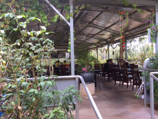 Alice Vietnamese Restaurant - Accommodation Main Beach 4
