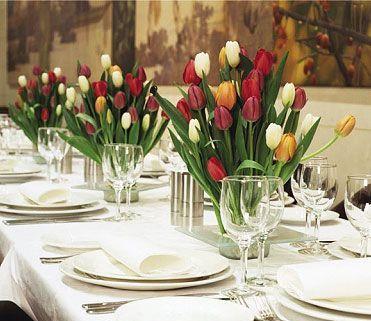 Bar Cupola - Accommodation Main Beach 16