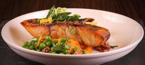 Bar Cupola - Accommodation Main Beach 1