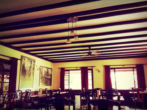 Silver Birch Restaurant - Accommodation Main Beach 0