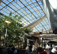 Jam Packed - Accommodation Main Beach