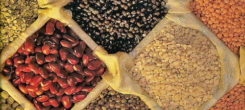 Namaste Indian Cuisine Young - Accommodation Main Beach 1