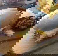 Hungry Boys - Accommodation Main Beach