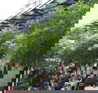 Harry's on Green Lane - Accommodation Main Beach