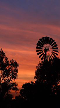 Emerald Springs Roadhouse - Accommodation Main Beach 4