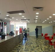 Red Rooster - Accommodation Main Beach